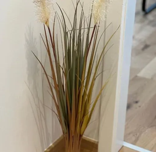 Apartment In Innenstadtlage